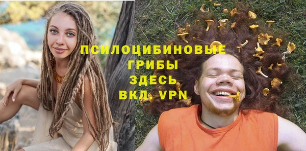 винт Абаза