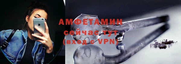 винт Абаза
