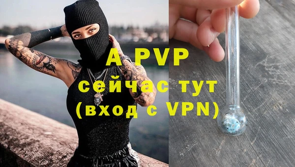 стаф Пролетарск