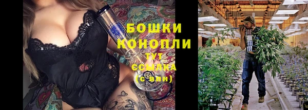 винт Абаза