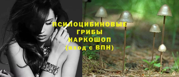 стаф Пролетарск