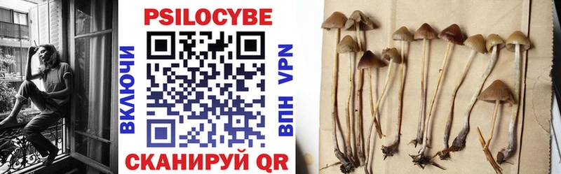 Псилоцибиновые грибы Psilocybe Суздаль